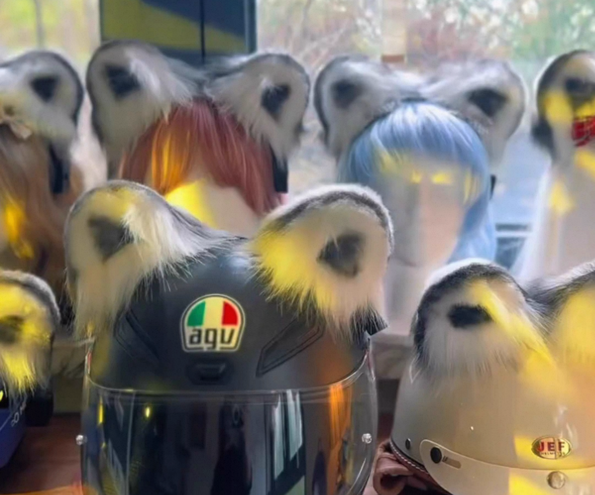 Gravity-sensing animal-ear decorated motorcycle helmet accessory