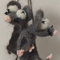 Big white-eyed dried rat
